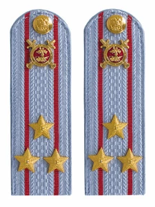 Погоны Полиция картон (в сборе) укомплектованные с фурнитурой на голубую рубашку (Полковник) 14х5см