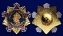 Сувенирный орден Нахимова 1 степени №668(№434)