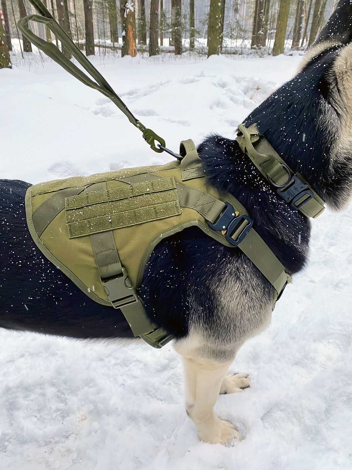 Сигнальные и защитные жилеты для собак купить в интернет-магазине malino-v.ru, доставка по всей России