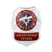 Знак нагрудный МЧС России Оперативная группа