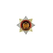 Знак нагрудный Полиция МВД Образовательные учреждения (закрутка)