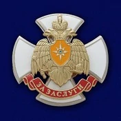 Сувенирный знак МЧС "За заслуги" №244(622)