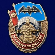 Сувенирный знак За службу в Спецназе ГРУ №2914