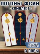 Погоны ФСИН комплект 3шт. картон (в сборе) укомплектованные с фурнитурой звание Старший  лейтенант 14х5 см