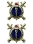 Эмблемы петличные (петлицы) Юстиция 2 шт. цвет синий