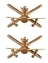 Эмблемы петличные (петлицы) Сухопутные войска 2 шт. золотистые