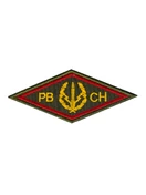 Шеврон вышитый РВСН ромб