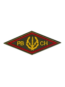 Шеврон вышитый РВСН ромб